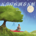 古琴五音疗愈 五行养生音乐 五音疗疾 调养五脏 养生五音 疗愈音律 养生馆舒缓纯音乐 疏肝解郁