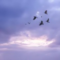 疗愈轻音乐 - 治愈心情音乐