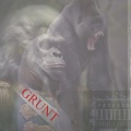 FamScorps - Grunt