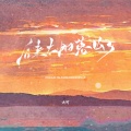 大可 - 后来太阳落山了