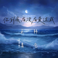王喜（唱歌版）、韩仓 - 你到底有没有爱过我