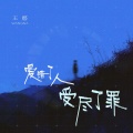 王娜 - 爱错了人受尽了罪