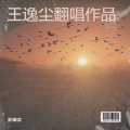 王逸尘 - 面具
