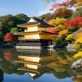 kinkaku