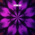Brainwave Music、Future Sky、Classical New Age Piano Music - Dreamtide Reflections