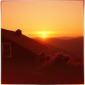 melyra official - sunny morning