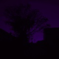 Sbiiig - cura