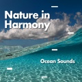 Ocean Sounds - Heavy Rainfall With Thunder