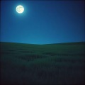 李艳 - 青花冷