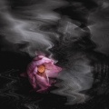 DJ阿柒Mix - 善良和爱都是免费的