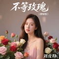 刘皮特 - 不等玫瑰