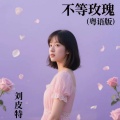刘皮特 - 不等玫瑰