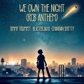 Timmy Trumpet、Blasterjaxx、Chandan Shetty - We Own The Night