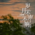 王超然 - 岁月不声不响