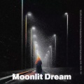 404Hz - Moonlit Dream