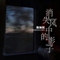陈婉菁 - 消失风中的影子