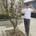 饶洪会 - 下辈子不来了