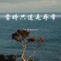 太阳sunnyz - 当时只道是寻常