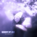 Chris Wonderful - Goodbye My Love