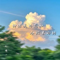 赵明一 - 种漂亮的花和会结果的树