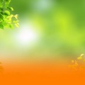Peaceful Nature Soundscape With Calming Piano And Healing Ambient Music For Deep Relaxation