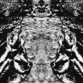 MOODFM - in-dus trial