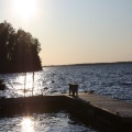 Andre Coutu - Sunny Morning