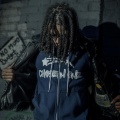 Cito blick - Free The Flocks