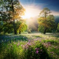 Relaxing Time Music、Chilled Morning Music、Binaural Headset Experiment - A Still Moment In Time