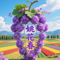 周细荣 - 姚花春酒