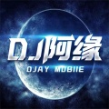 DJ阿缘Mobie - 枫叶红时总多离别