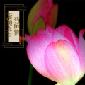 赖鸿根 - 药师佛灌顶真言