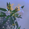 赵十三 - 诺言