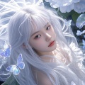 雪花女神龙 - 金麦浪.MP3