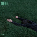 LYLF - 寻屿