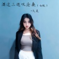 大麦 - 酒过三巡叹沧桑