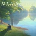 达希 - 五音养生乐·金音 收敛气血 固本养元