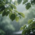 助眠安神 减压放松 雨声白噪音钢琴曲 伴你坠入静谧甜梦之境
