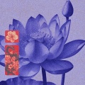 Japan Spring