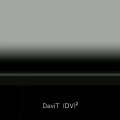 (DV)2