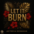Jaytor、Oceanika - Cool It Down