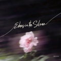 Echoes in the Silence