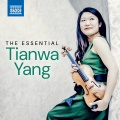 Tianwa Wang、Romain Descharmes - Violin Sonata in F Minor, Op. 4: III. Allegro agitato