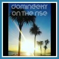 Domineeky - Sexy Afro