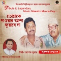 Tomake Pawar Asha Phurabe Na - Single
