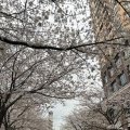 Seasons