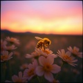 Bee