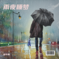 徐长新 - 雨夜睡梦