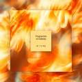 Fragments of Infinity - In Tune