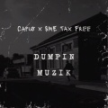 Dumpin Muzik (feat. SME TaxFree) [Explicit]